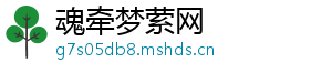 魂牵梦萦网